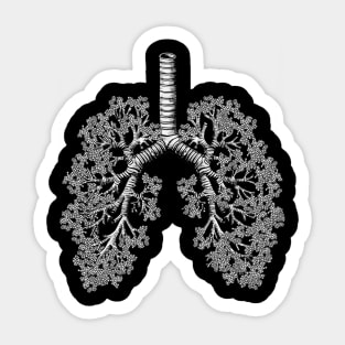 Lung Anatomy / Cancer Awareness 20 Sticker